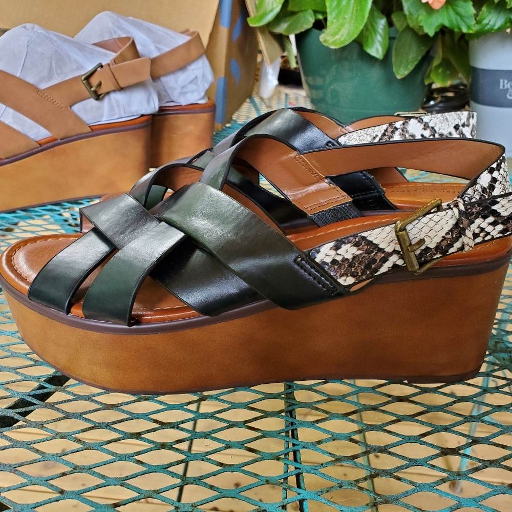 American Eagle Wedges